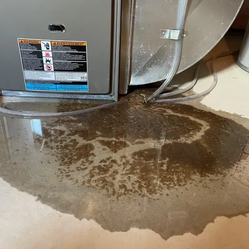 Appliance Leak Cleanup in Eunice, NM